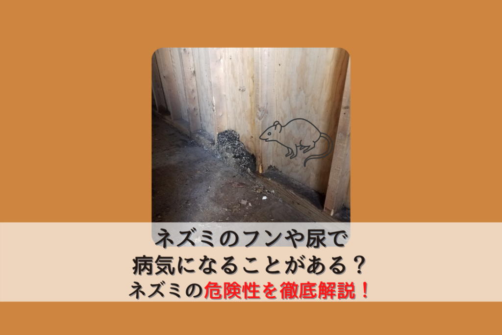 ネズミのフンや尿で病気になることがある ネズミの危険性を徹底解説 駆除専門業者プロープル