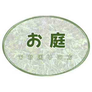 東京 神奈川で虫や動物 鳥被害で困ったときはここ