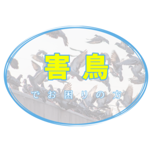 東京 神奈川で虫や動物 鳥被害で困ったときはここ