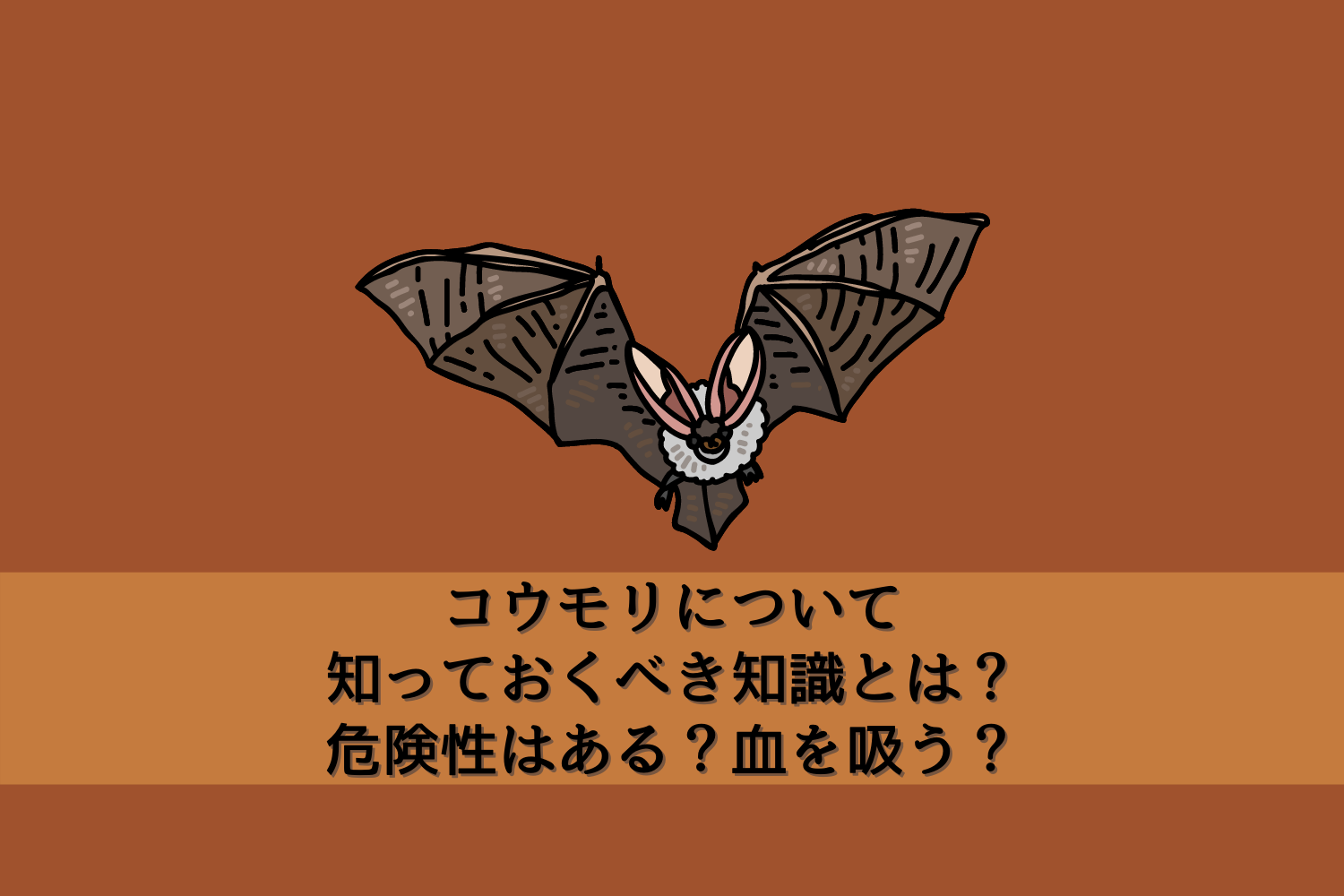 コウモリについて知っておくべき知識とは 危険性はある 血を吸う 駆除専門業者プロープル