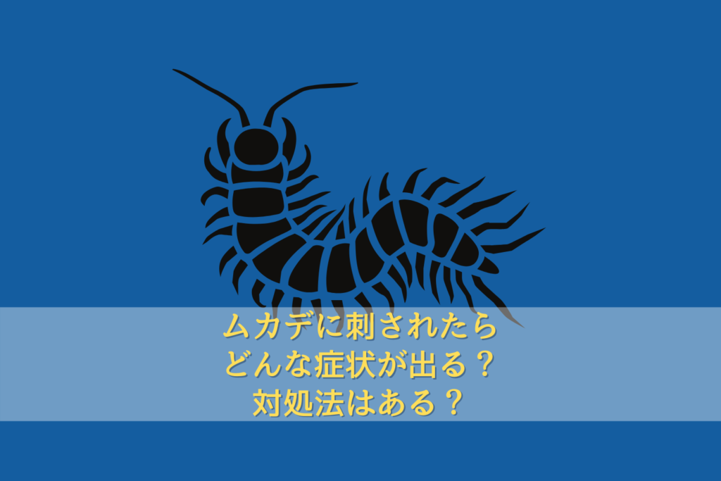 ムカデに刺されたらどんな症状が出る 対処法はある 駆除専門業者プロープル