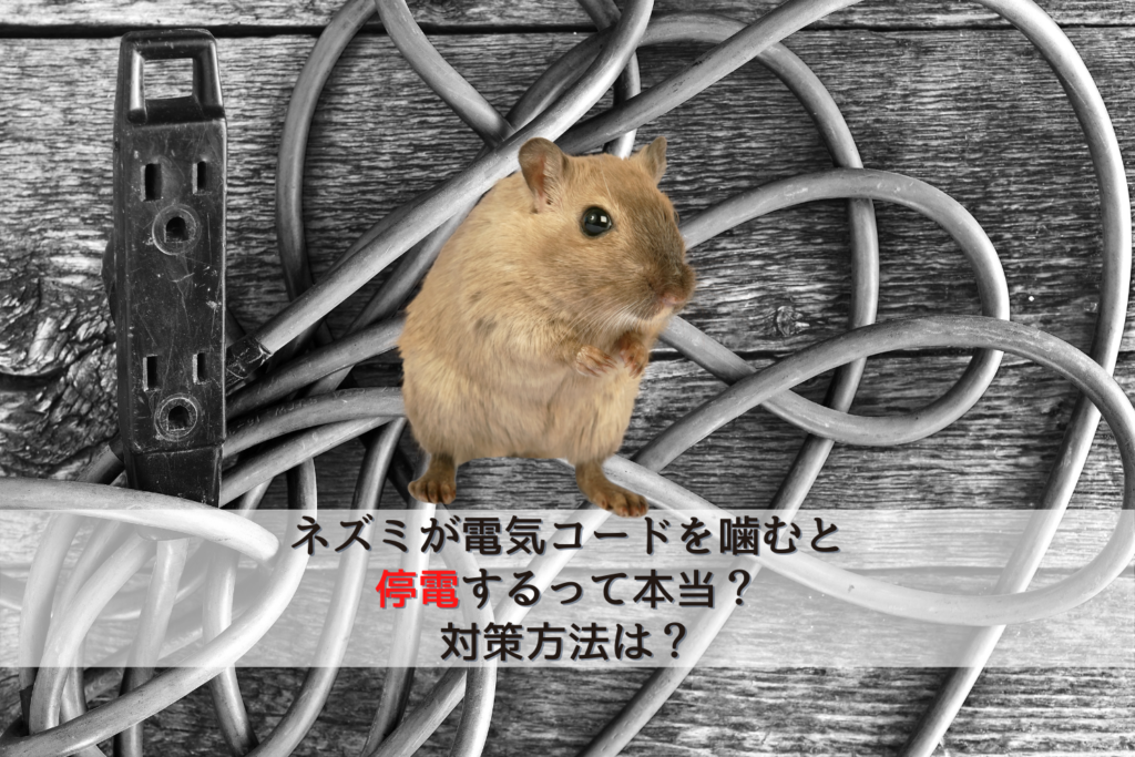 ネズミが電気コードを噛むと停電するって本当？対策方法は？
