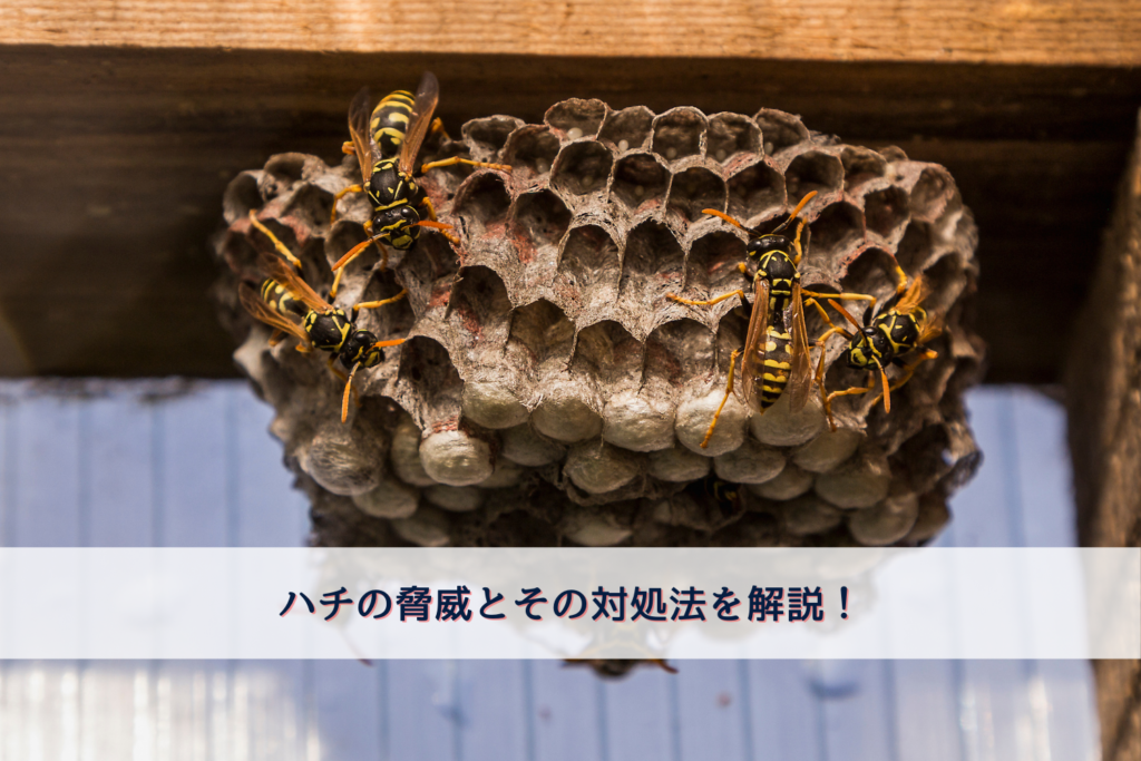 ハチの脅威とその対処法
