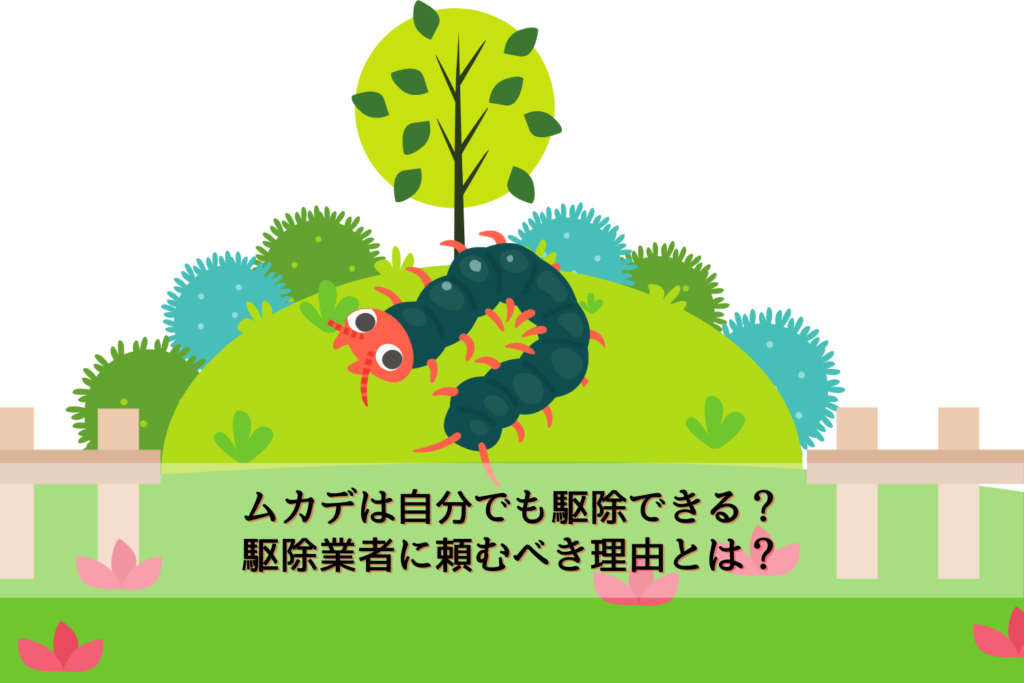 ムカデは自分でも駆除できる 駆除業者に頼むべき理由とは 駆除専門業者プロープル