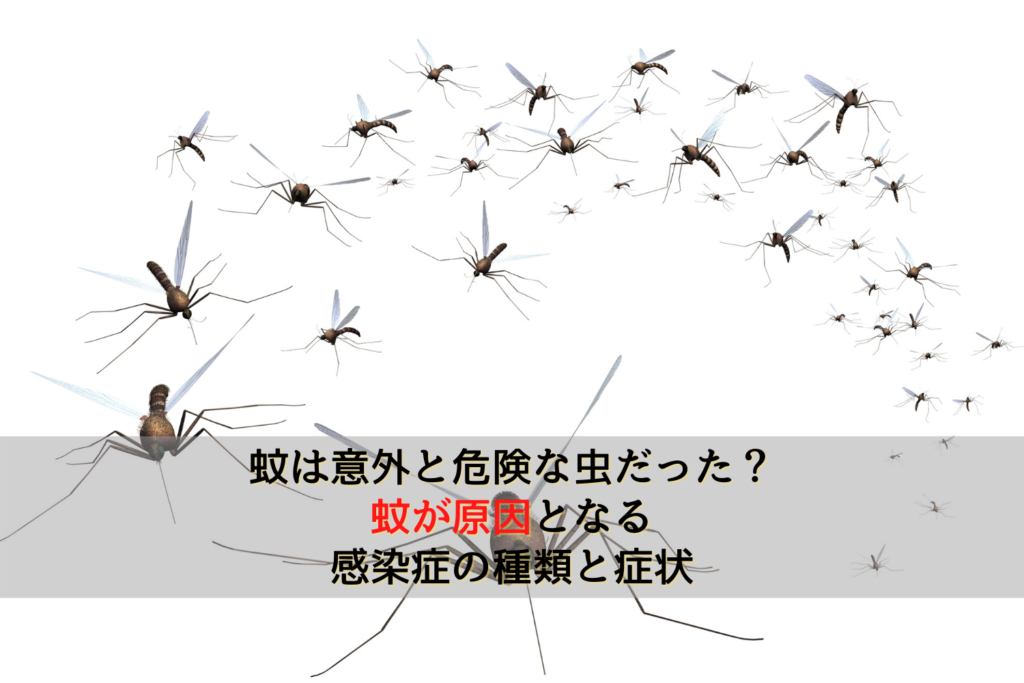 蚊は意外と危険な虫だった 蚊が原因となる感染症の種類と症状 駆除専門業者プロープル