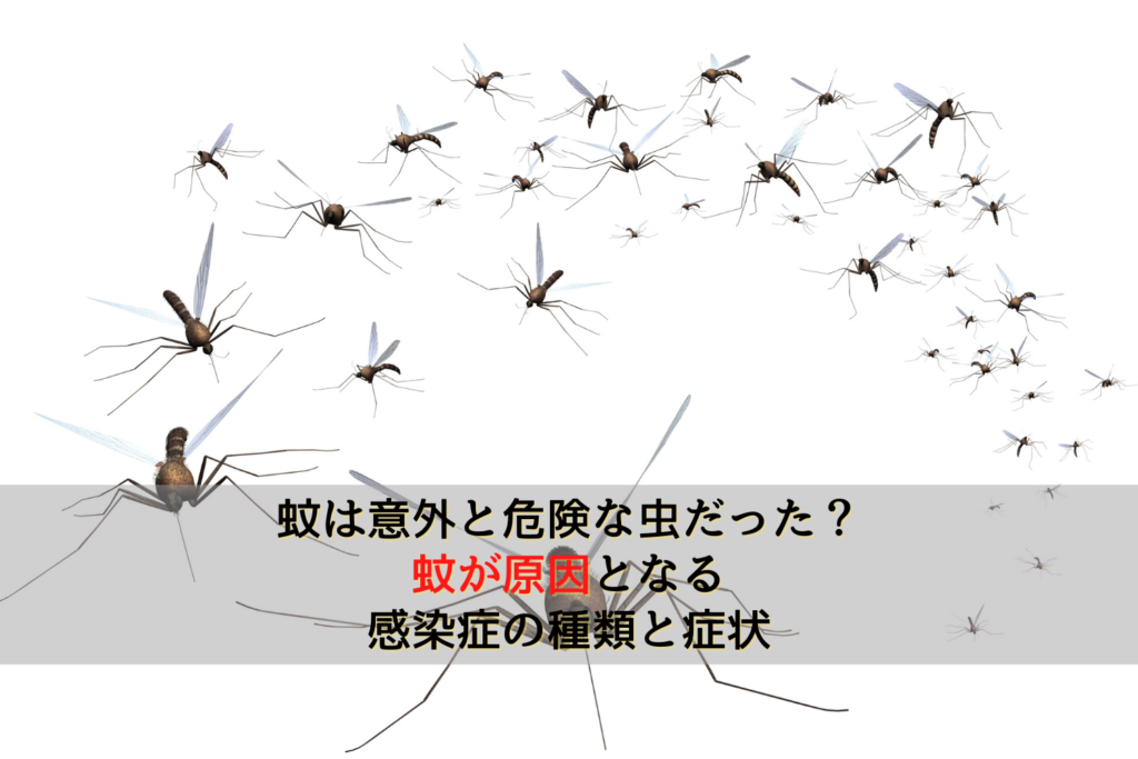 蚊は意外と危険な虫だった？蚊が原因となる感染症の種類と症状