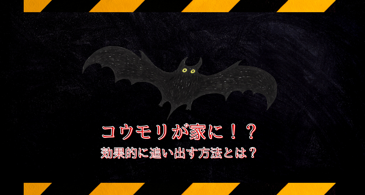 コウモリが家に 効果的に追い出す方法とは 駆除専門業者プロープル