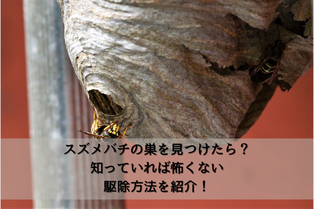 スズメバチの巣を見つけたら？知っていれば怖くない駆除方法を紹介  