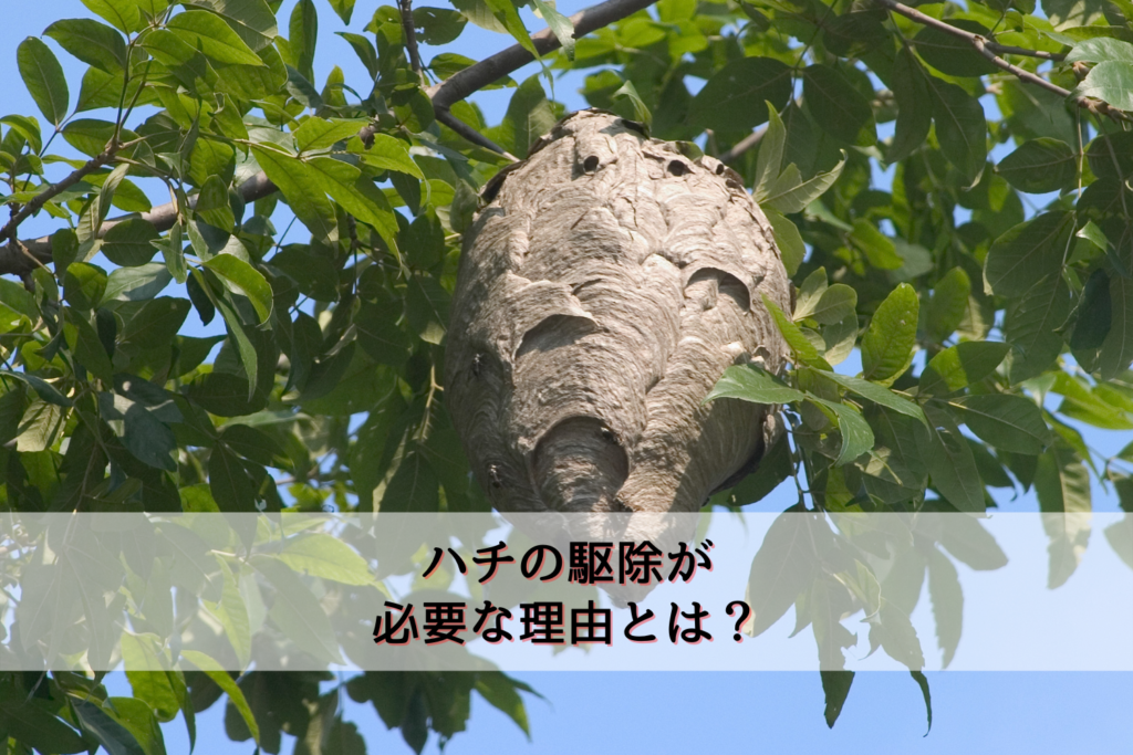 ブヨって一体何 ブヨに刺されるとどんな症状が出るの 対処法は 駆除専門業者プロープル ブヨって一体何 ブヨに刺されるとどんな症状が出るの 対処法は 駆除専門業者プロープル