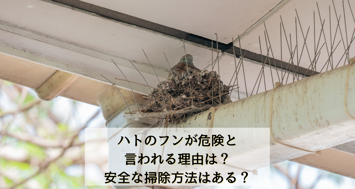 ハトのフンが危険と言われる理由は 安全な掃除方法はある 駆除専門業者プロープル