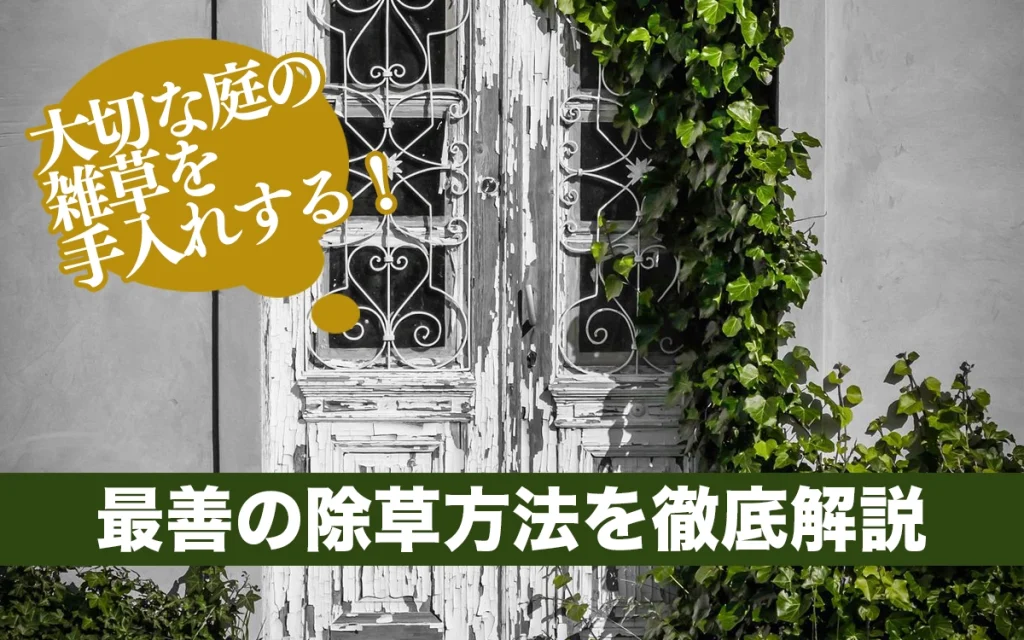 大切な庭の雑草を手入れする！最善の除草方法を徹底解説していきます