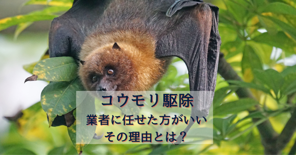 コウモリが家に 効果的に追い出す方法とは 駆除専門業者プロープル