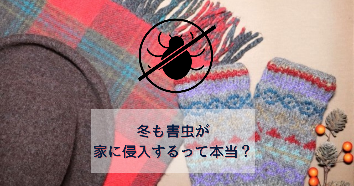 冬も害虫が家に侵入するって本当 どんなことに気をつけて対策するべき 駆除専門業者プロープル