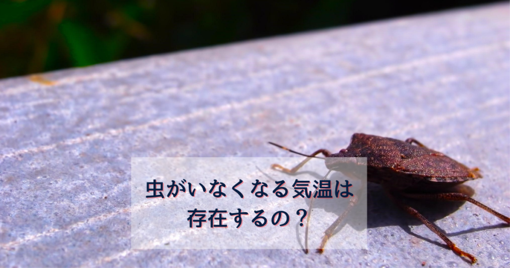 虫がいなくなる気温は存在するの 駆除専門業者に任せるメリットとは 駆除専門業者プロープル