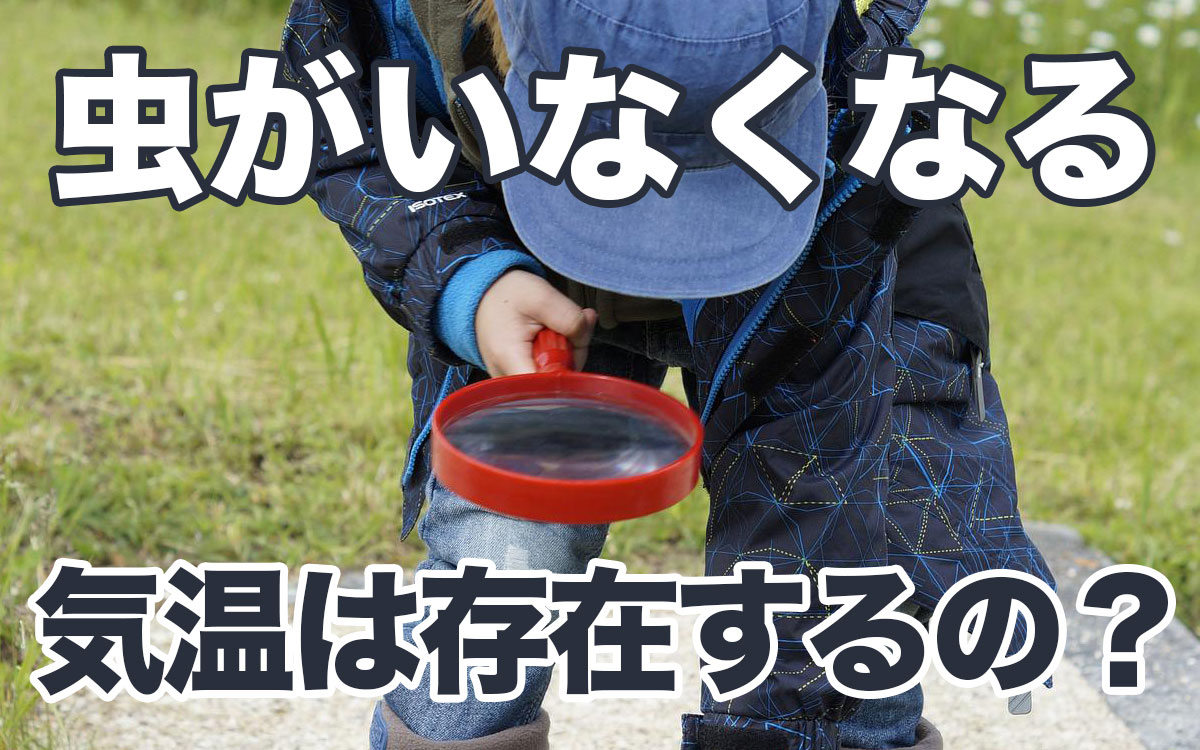 虫がいなくなる気温は存在するの？