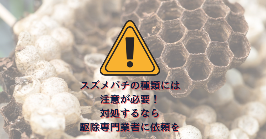 スズメバチの種類には注意が必要！対処するなら駆除専門業者に依頼を･･･