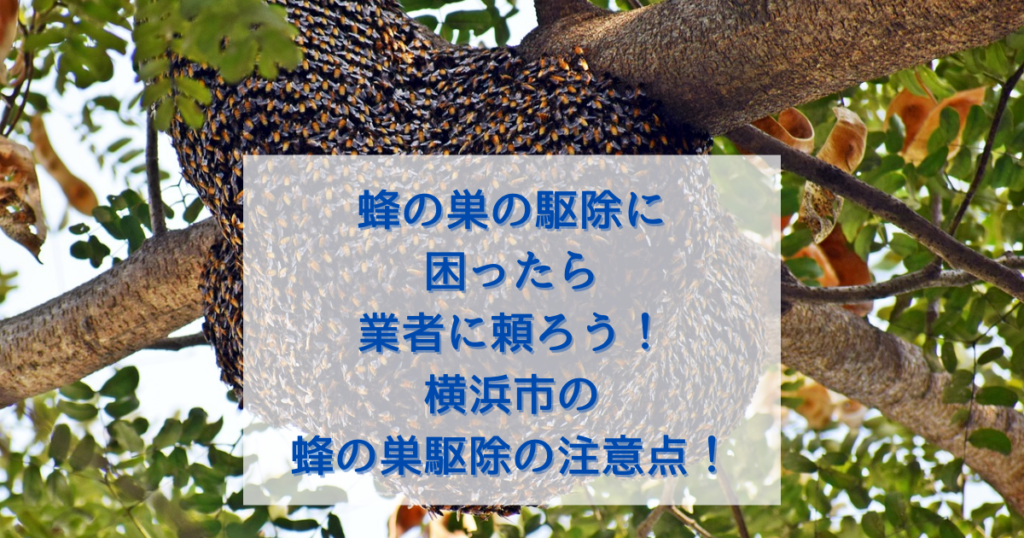 蜂の巣の駆除に困ったら業者に頼ろう！横浜市の蜂の巣駆除の注意点！