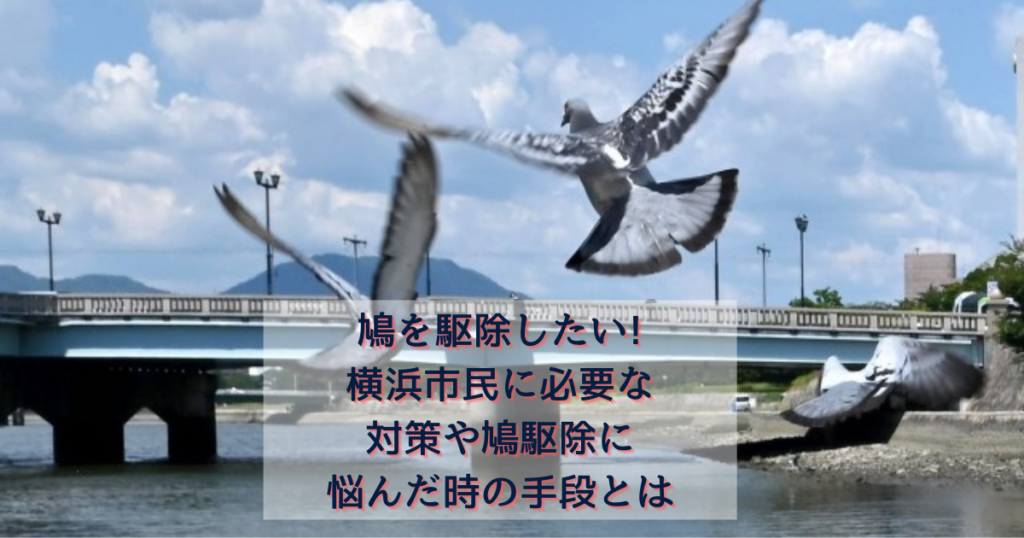 横浜市民に必要な対策や鳩駆除に悩んだ時の手段とは