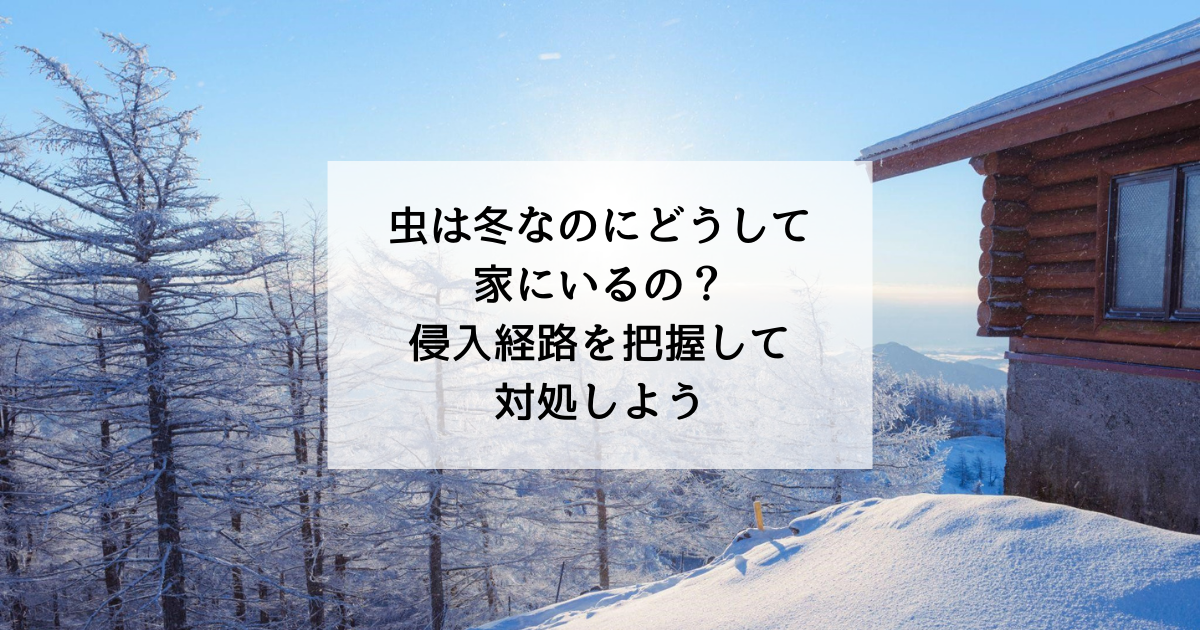 虫は冬なのにどうして家にいるの 侵入経路を把握して対処しよう 神奈川県の駆除専門業者クリーン計画プロープル