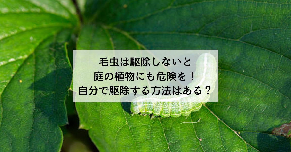 毛虫は駆除しないと庭の植物にも危険を 自分で駆除する方法はある 駆除専門業者プロープル