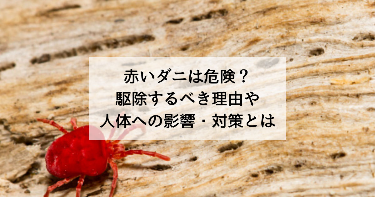 赤いダニは危険 駆除するべき理由や人体への影響 対策とは 神奈川県の駆除専門業者クリーン計画プロープル