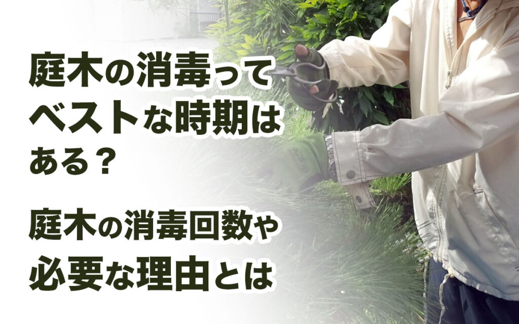 庭木の消毒ってベストな時期はある？庭木の消毒回数や必要な理由とは