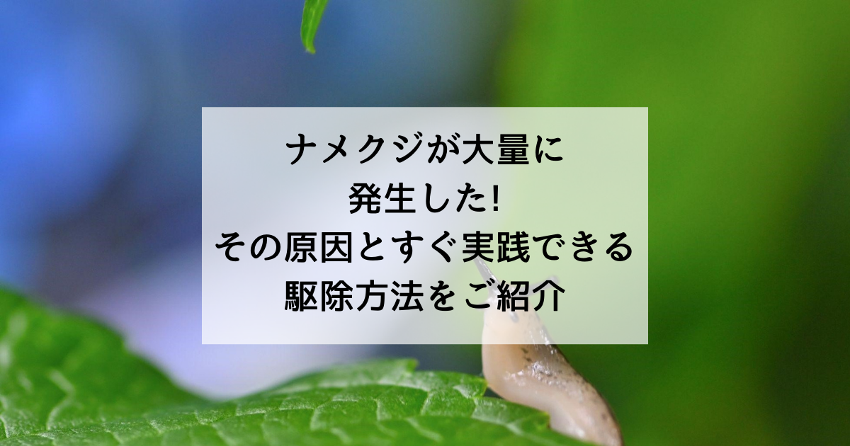 ナメクジが大量に発生した その原因とすぐ実践できる駆除方法をご紹介 駆除専門業者プロープル