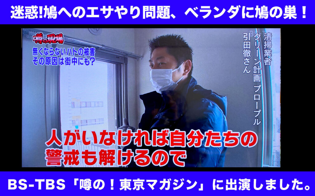 【BS-TBS】迷惑!鳩へのエサやり問題【噂の！東京マガジン】