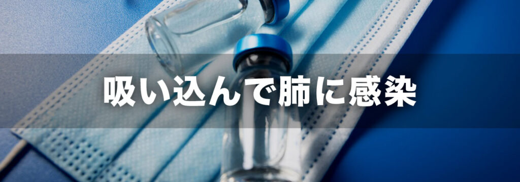 吸い込んで肺感染(ヒストプラズマ症とは?)
