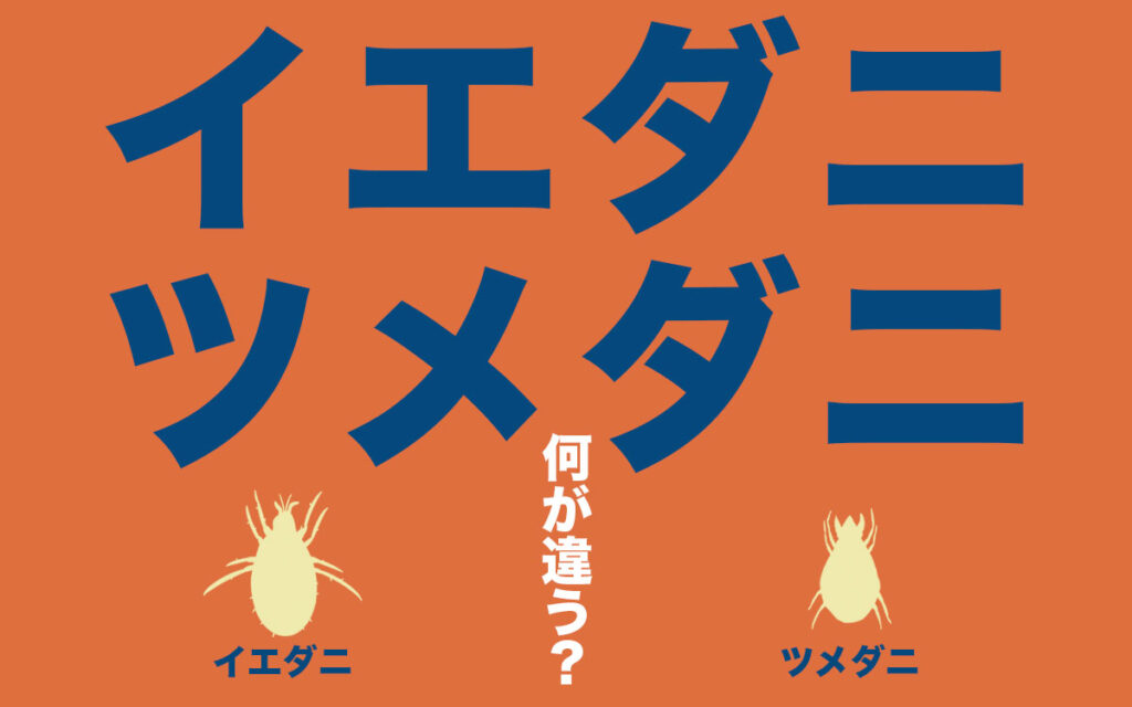 イエダニとツメダニは何が違う。