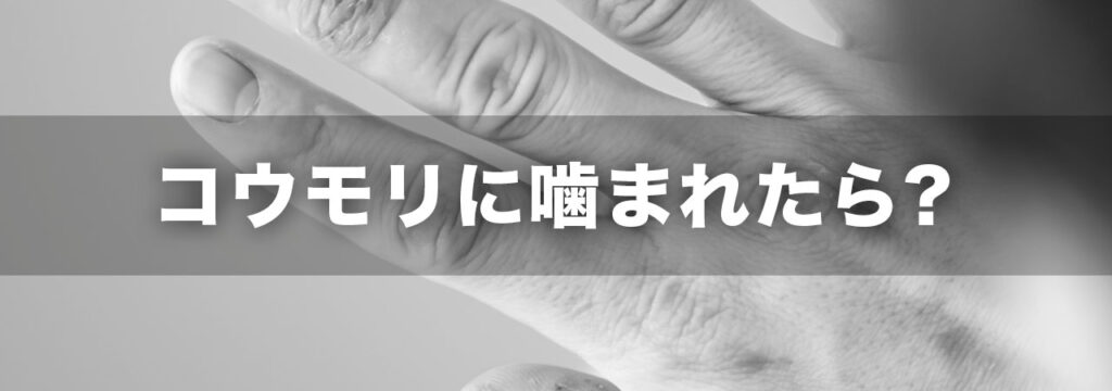 コウモリに噛まれたら大丈夫なのでしょうか?