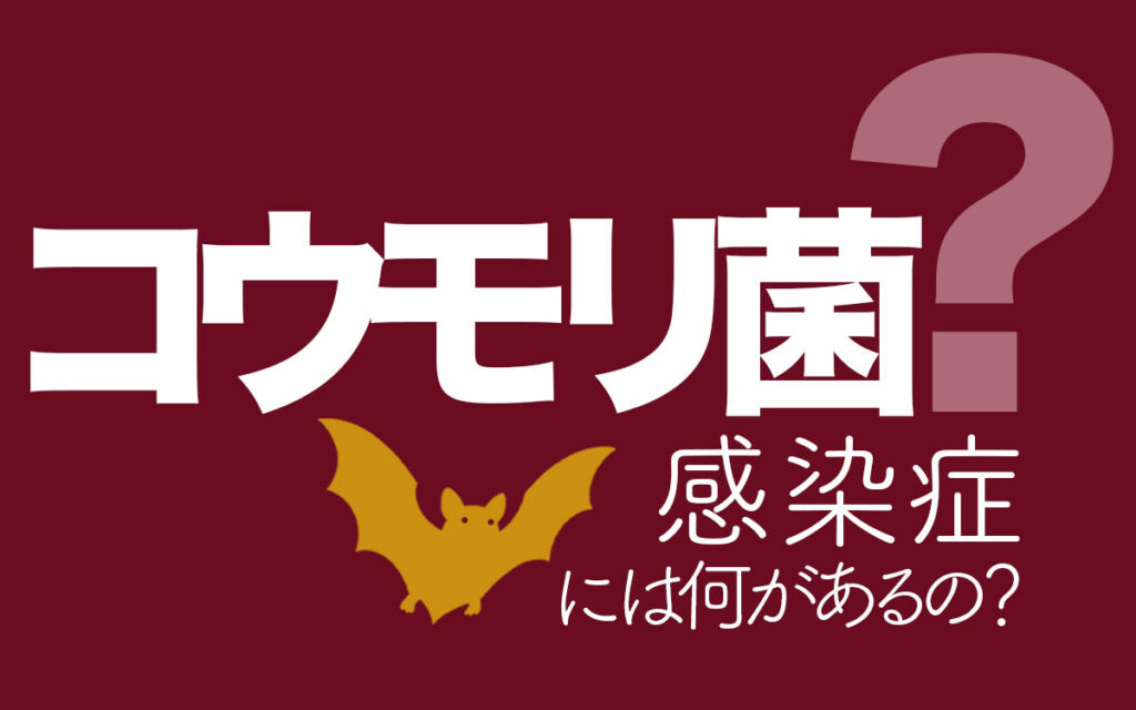 コウモリには菌がある?感染症には何があるのでしょうか?