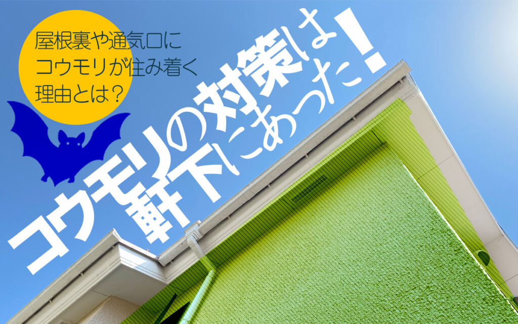 コウモリ対策は軒下にある!屋根裏と通気口に住み着く理由を解説