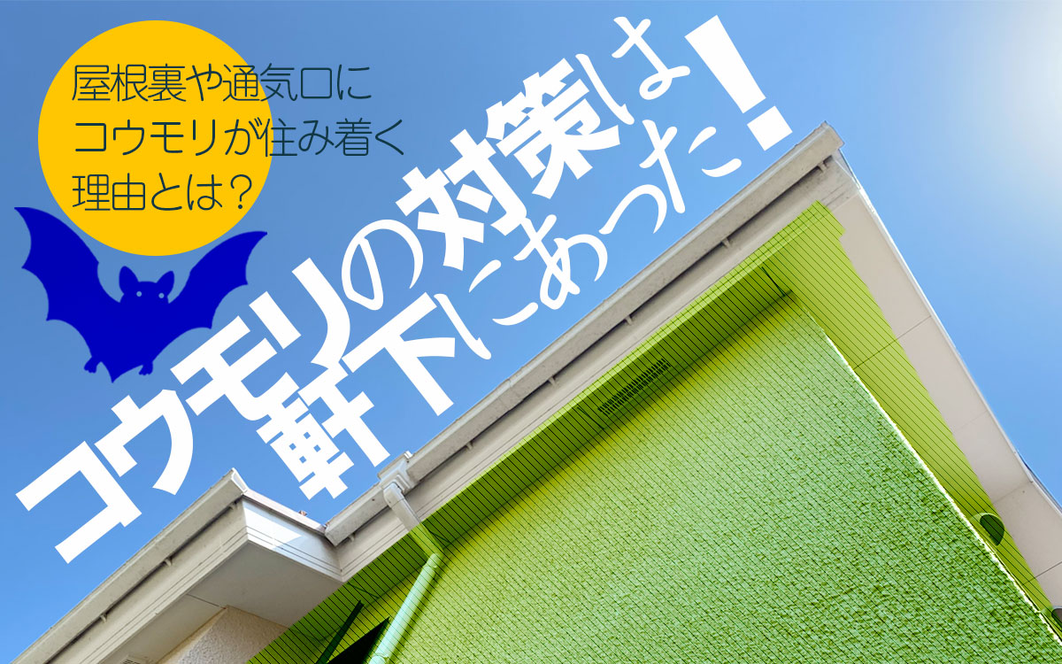 コウモリ対策は軒下が大切、屋根裏や通気口に住み着く原因とは？