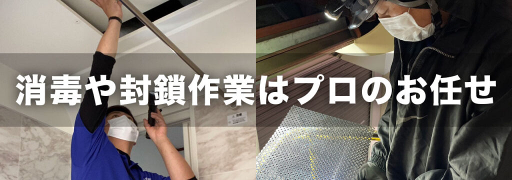 コウモリ問題はプロのクリーン計画プロープルに相談してください
