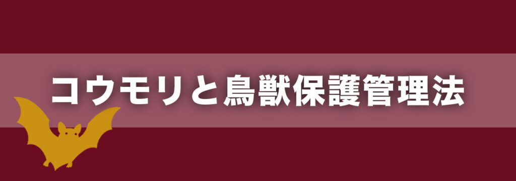 コウモリは保護法による法律で守られています