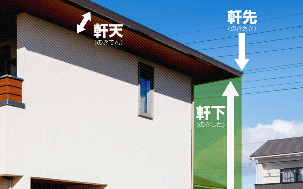 コウモリの対策は軒下にある理由とは?