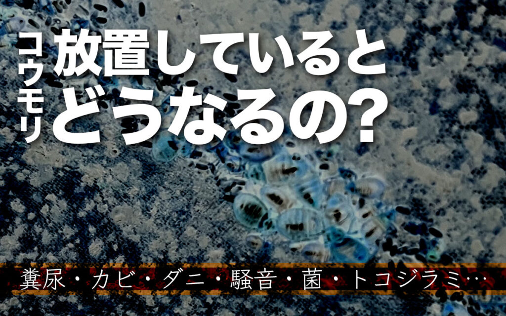 軒下に侵入したコウモリを放置するとどうなるの?