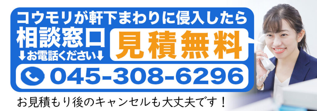 軒下のコウモリ問題の相談窓口