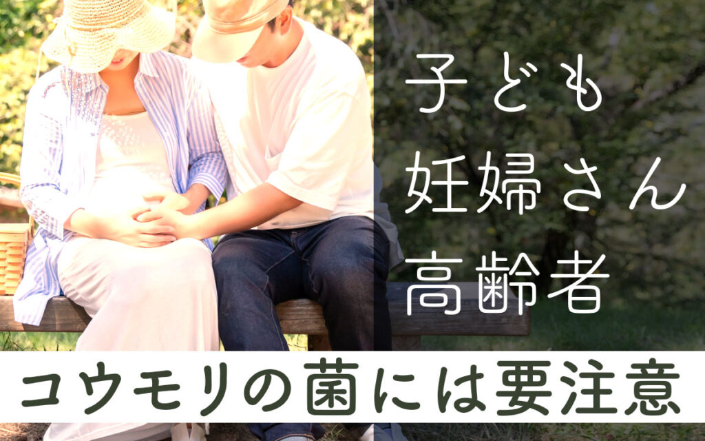 コウモリの菌は子ども・妊婦さん・高齢者は特に注意が必要な理由とは