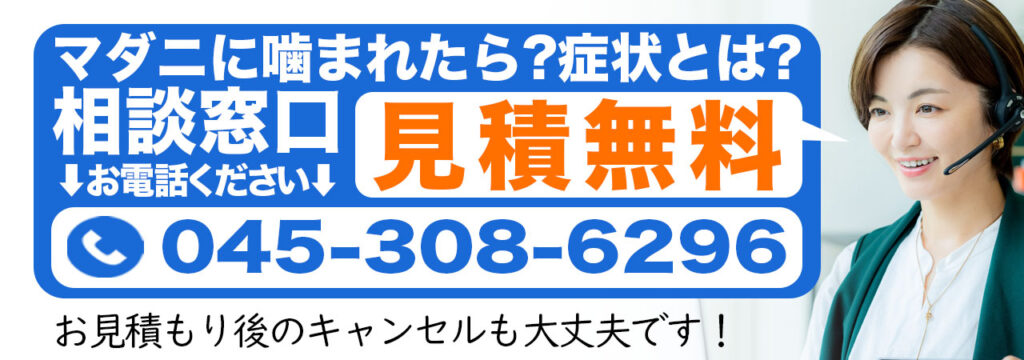 マダニに噛まれたら?相談窓口