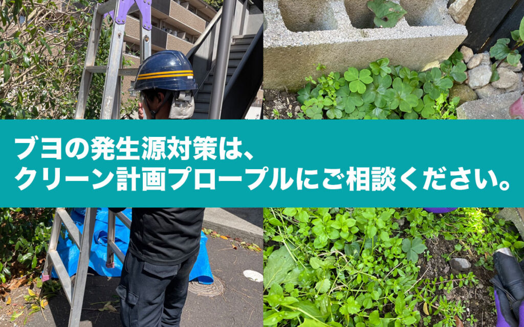 ブヨの発生源対策と専門業者による対応とは?