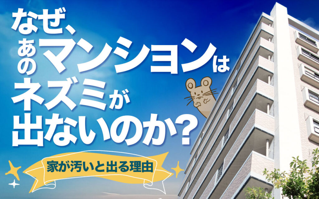 なぜ、あのマンションにはネズミが出ないのか？【家が汚いと出る理由と特徴と原因】を紹介します。