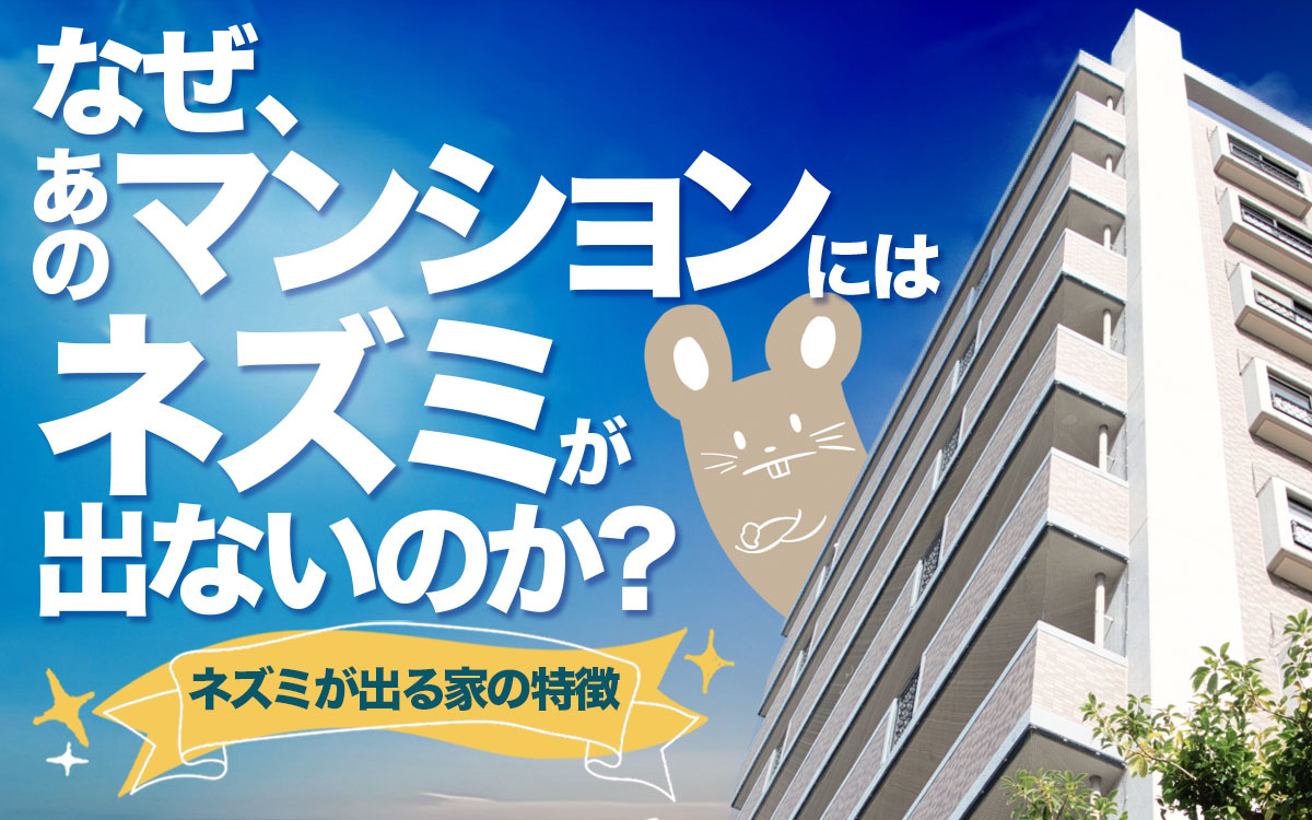 ネズミが出るマンションとネズミが出ないマンションの違いとは、家が汚いとネズミは出るのか？