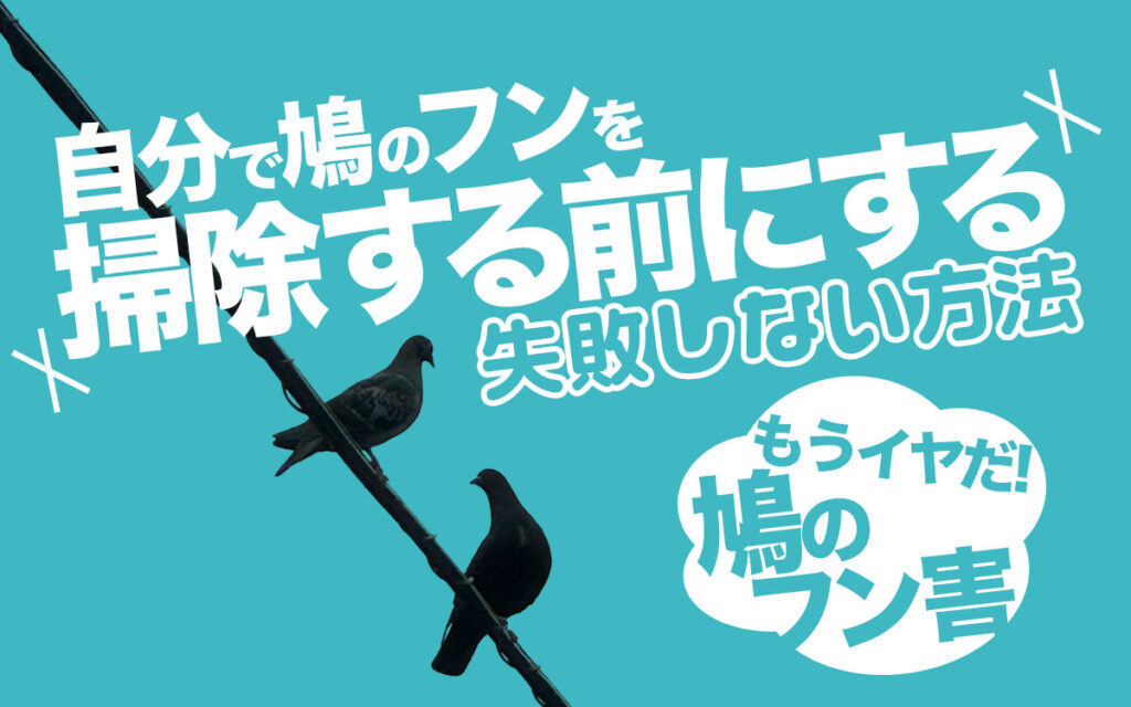 もうイヤだ！【鳩のフン害】自分で「掃除する前にする」失敗しない方法