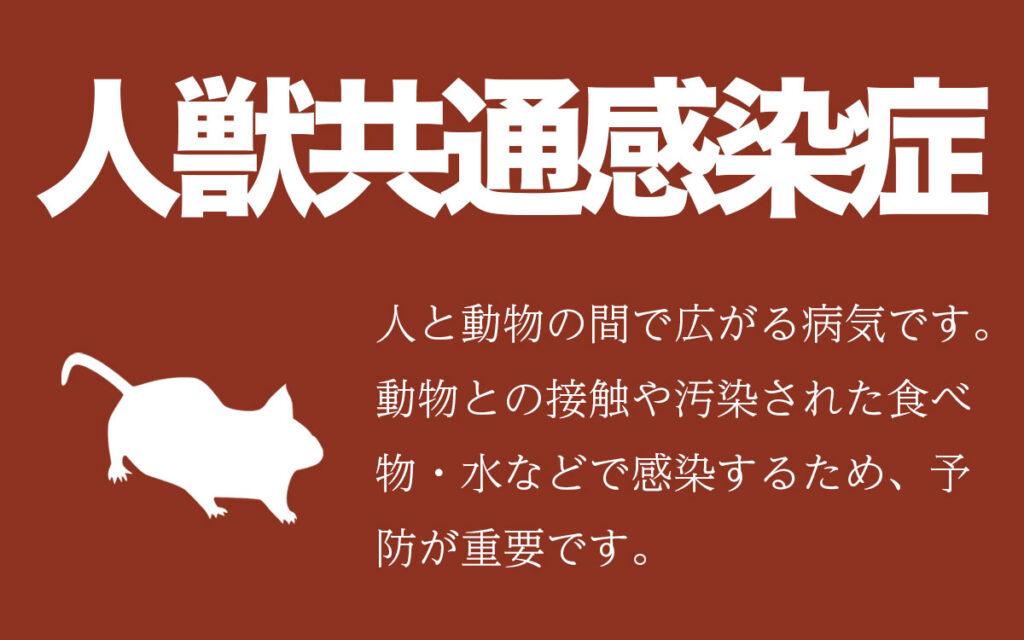 ネズミの怖いところは感染症やウイルスを人間やペットにも感染し病気にします