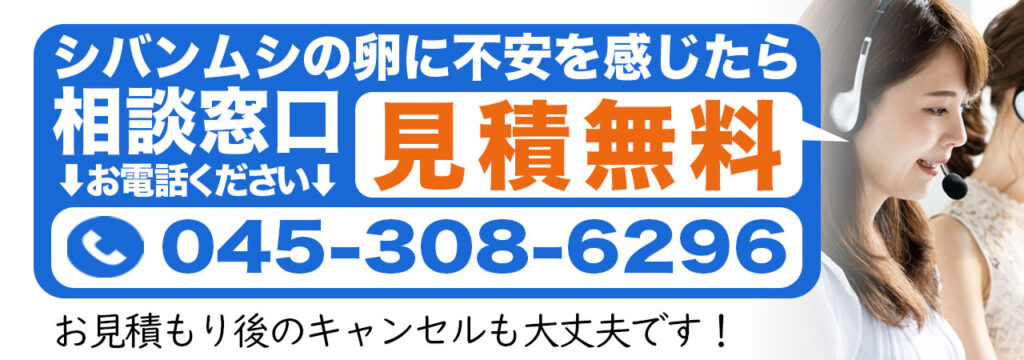 シバンムシの卵の相談窓口