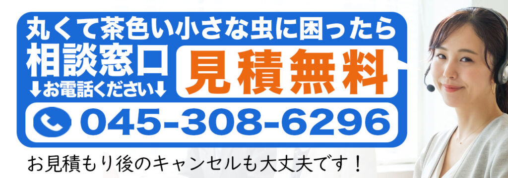 丸くて茶色い小さな虫に困ったらの相談窓口