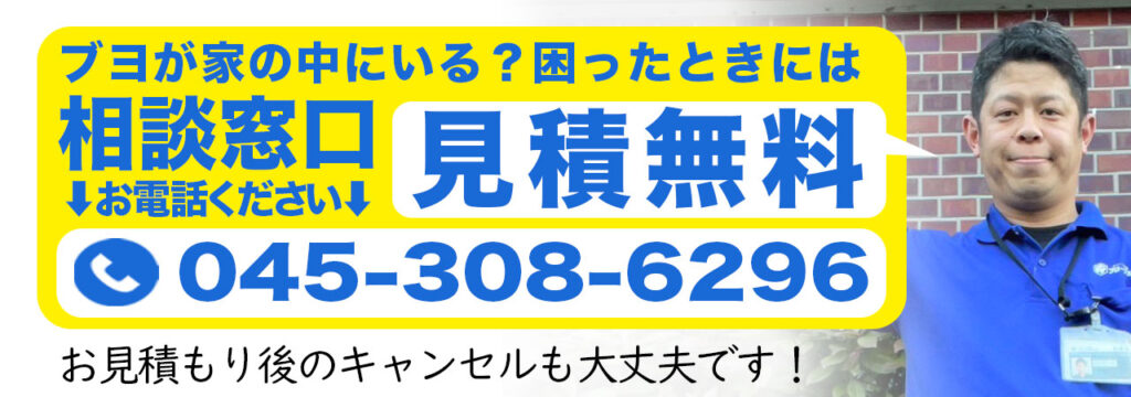 ブヨが家の中にいるかもしれない、困ったときの相談先宇
