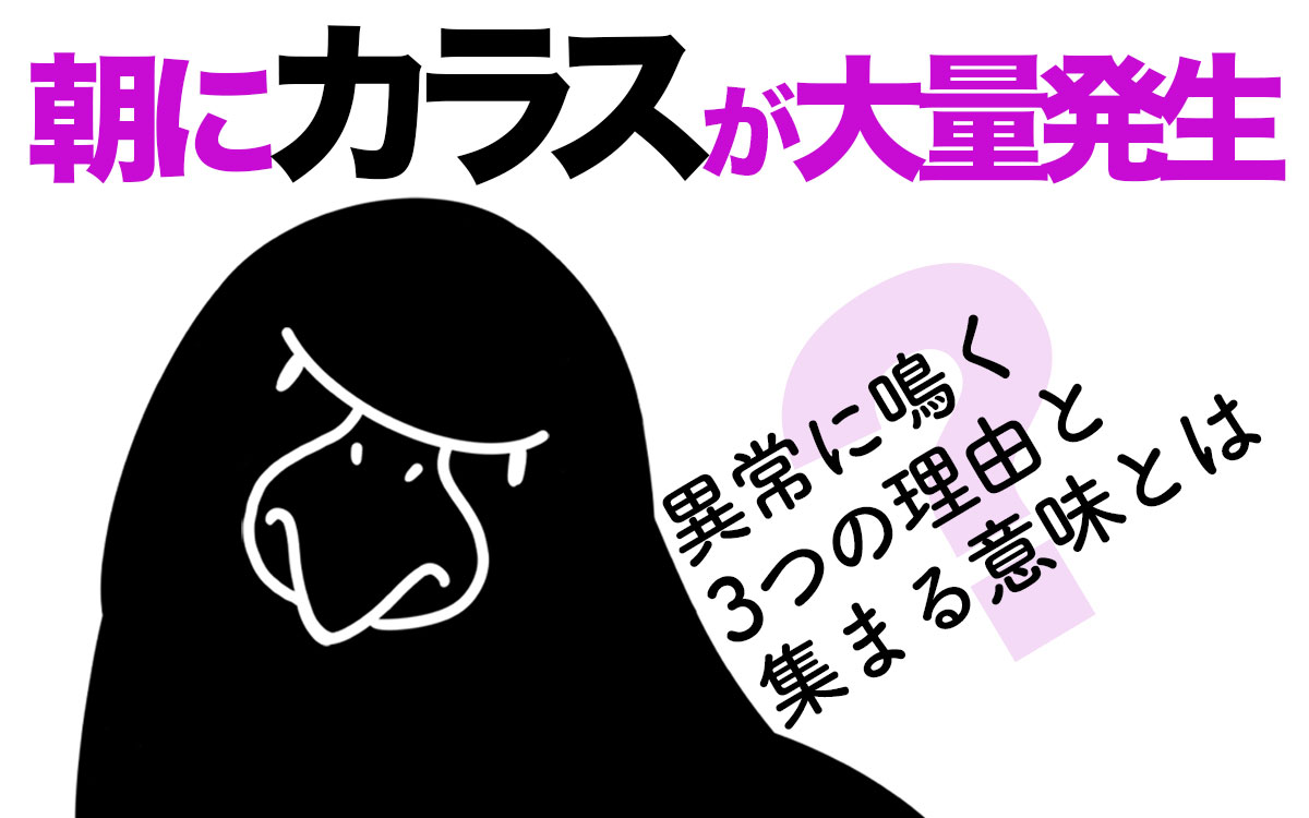 朝にカラスの大群が大量発生した。異常な鳴き声で怖い